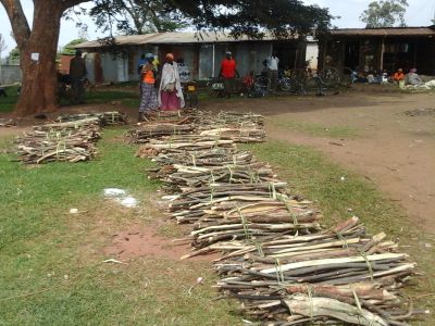 firewood in Kenya