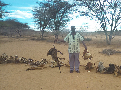 Earlier this year, Kenya declared their drought a national disaster. Rivers have dried up leaving no water for crops or thirsty animals in some areas.