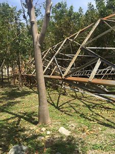 The high winds of Hurricane Irma ripped down towers and trees all over the island.