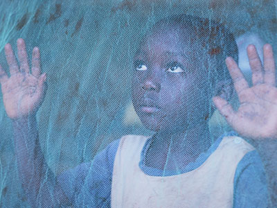 Young boy peers through a mosquito net