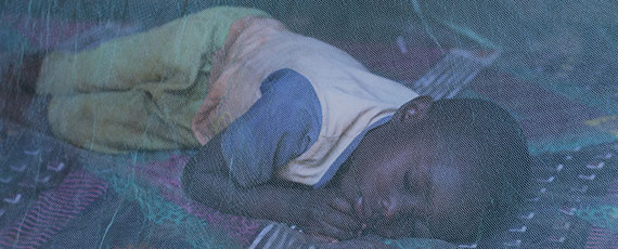 A child sleeping under a mosquito net
